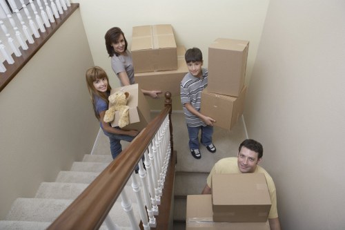 Practical storage planning for a clutter-free Locksbottom household